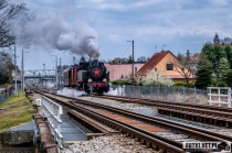 Urz�d Miejski w Wolsztynie