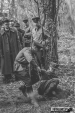 Urz�d Miejski w Wolsztynie