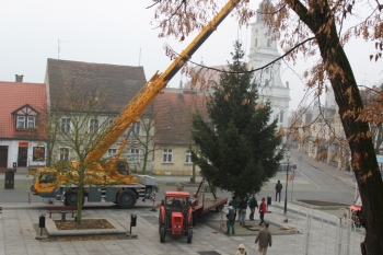 Urzd Miejski w Wolsztynie