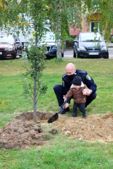 Urzd Miejski w Wolsztynie