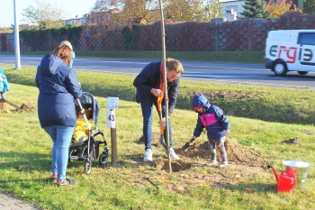 Urzd Miejski w Wolsztynie